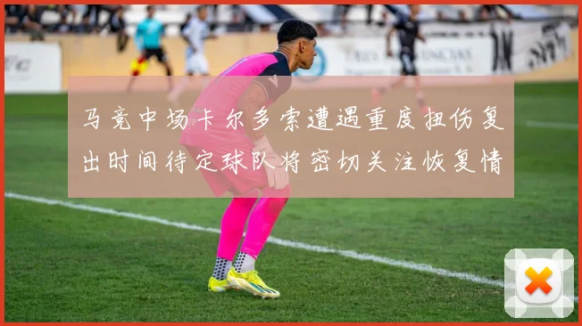 马竞中场卡尔多索遭遇重度扭伤复出时间待定球队将密切关注恢复情况